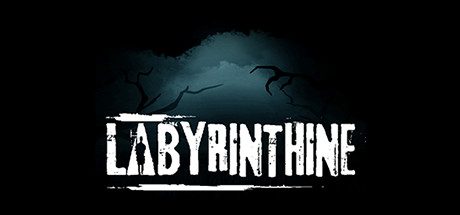 Купить Labyrinthine