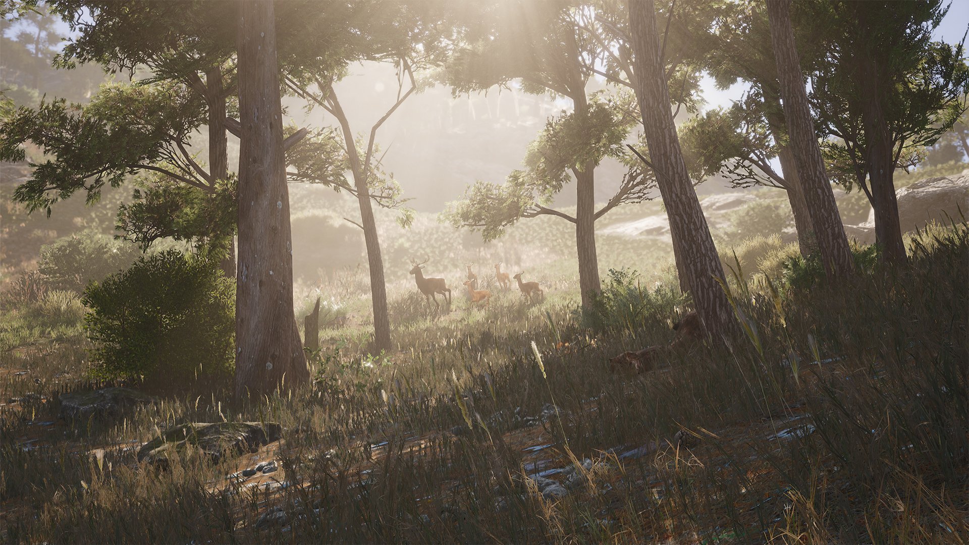 SCUM - скриншот игры 3